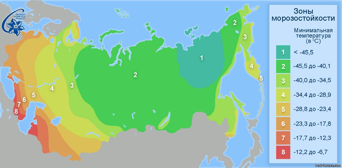 температурная зона москвы